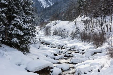 Winter Stock Photos