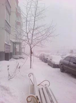 Winter 스톡 사진