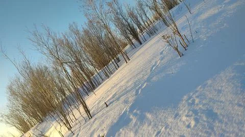 Winter 스톡 사진