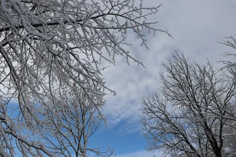 Winter Stock Photos