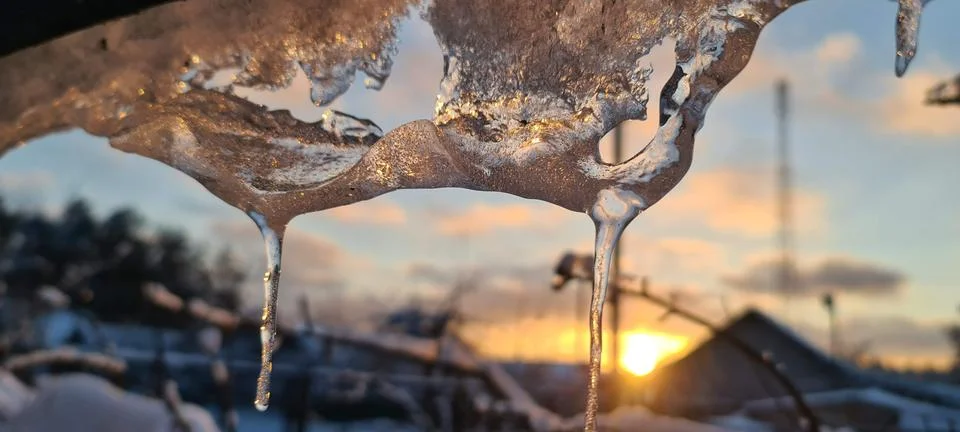 Winter Fotos de archivo