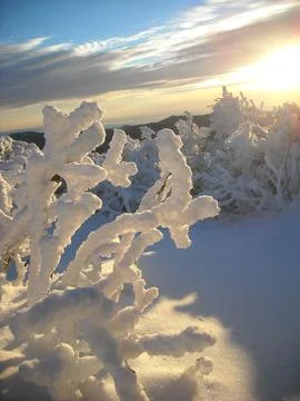 Winter Stock Photos