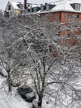 Winter 写真素材