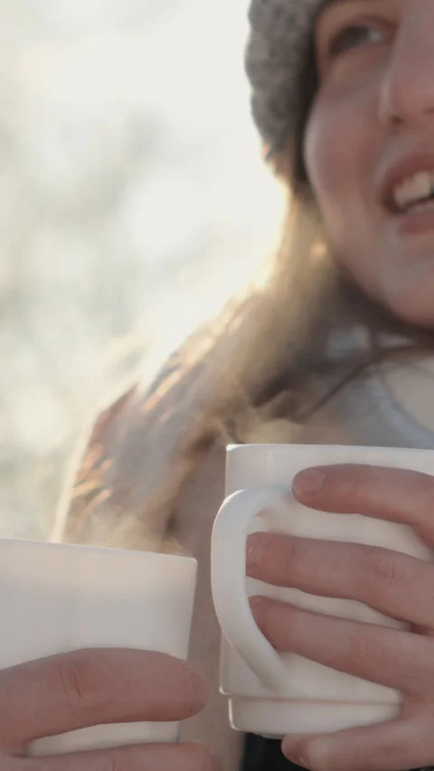 A Winter Picnic Experience a Romantic Escape in Nature with your partner Stock Footage 293206318