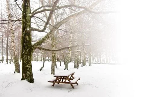 Winter picnic Stock Photos