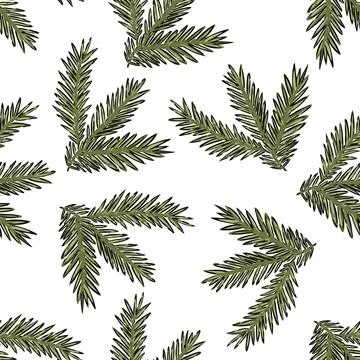 Winter pine and spruce vector seamless pattern, evergreen tree and fir branch, Stock Illustration