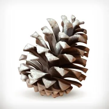 Winter, pine cone vector icon Stock Illustration