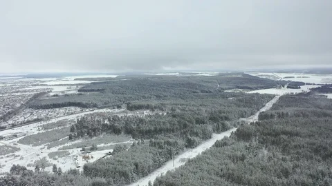 Winter pine forest and fog in the city of Beloretsk Video stock 119682186