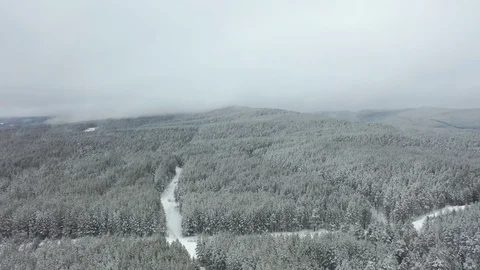Winter pine forest and fog in the city of Beloretsk Video stock 119683056
