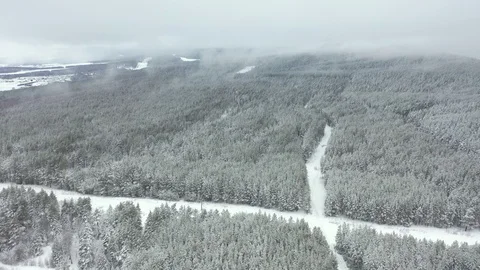Winter pine forest and fog in the city of Beloretsk Video stock 119683130