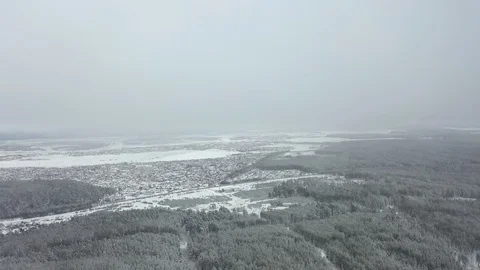 Winter pine forest and fog in the city of Beloretsk Video stock 119683146