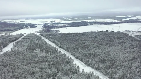 Winter pine forest and fog in the city of Beloretsk Video stock 119683175