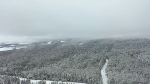 Winter pine forest and fog in the city of Beloretsk Video stock 119683277
