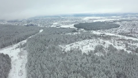 Winter pine forest and fog in the city of Beloretsk Video stock 119683329