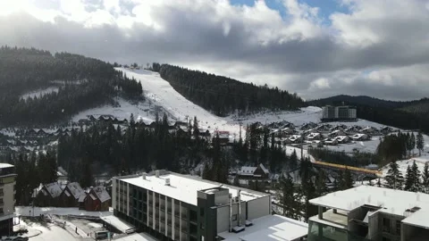 Winter Pine Forest, Drone Aerial Stock Footage 148439873