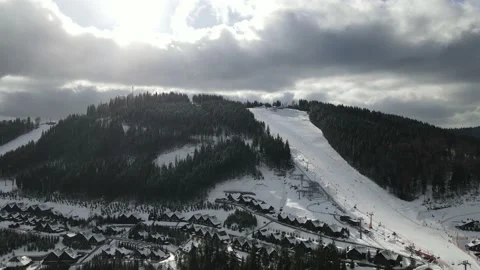 Winter Pine Forest, Drone Aerial Stockbeeldmateriaal 148439888