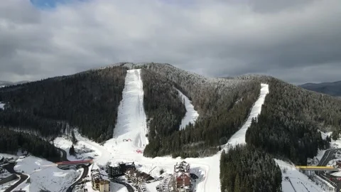 Winter Pine Forest, Drone Aerial Stock Footage 148439957