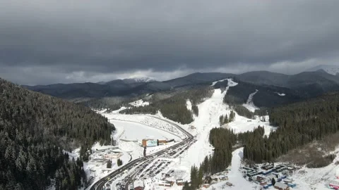 Winter Pine Forest, Drone Aerial Stock Footage 148439970