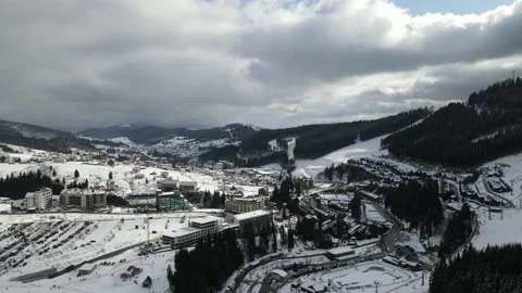 Winter Pine Forest, Drone Aerial Stock Footage 148440033