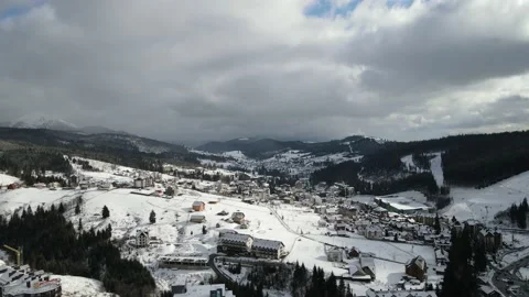 Winter Pine Forest, Drone Aerial Stock Footage 148440092