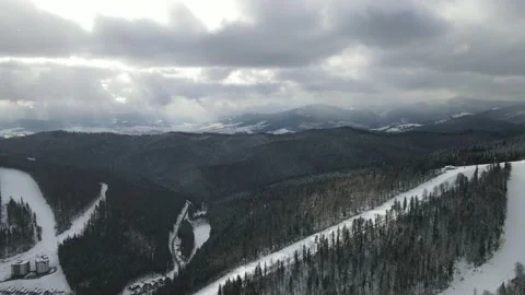 Winter Pine Forest, Drone Aerial Stock Footage 148440109