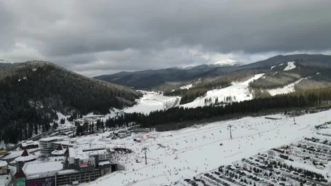 Winter Pine Forest, Drone Aerial Stock Footage 148440120