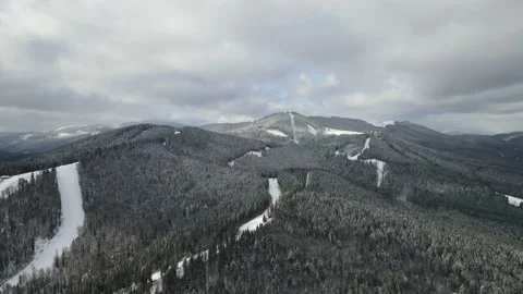Winter Pine Forest, Drone Aerial Stock Footage 148440202