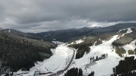 Winter Pine Forest, Drone Aerial Stock Footage 148440213