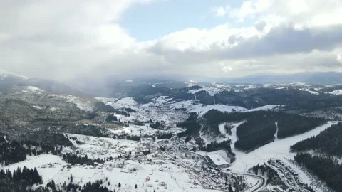 Winter Pine Forest, Drone Aerial Stock Footage 148440333