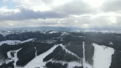 Winter Pine Forest, Drone Aerial Stock Footage 148440400