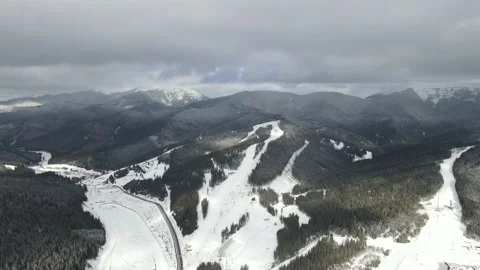 Winter Pine Forest, Drone Aerial Stock Footage 148440478