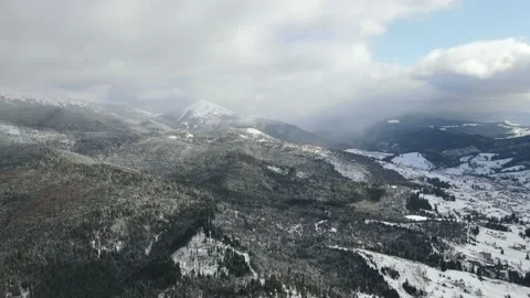 Winter Pine Forest, Drone Aerial Stock Footage 148440555