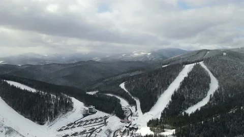 Winter Pine Forest, Drone Aerial Stock Footage 148440592