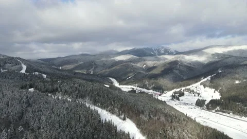 Winter Pine Forest, Drone Aerial Stock Footage 148440670