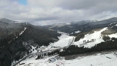 Winter Pine Forest, Drone Aerial Stock Footage 148440673