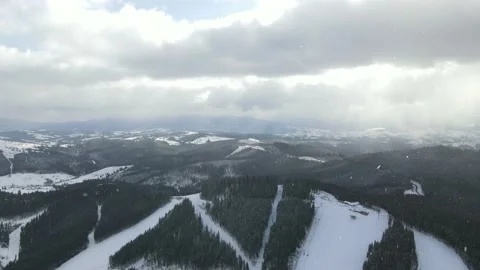 Winter Pine Forest, Drone Aerial Stock Footage 148440782