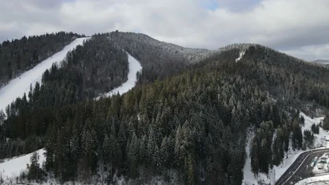 Winter Pine Forest, Drone Aerial Stock Footage 148440821