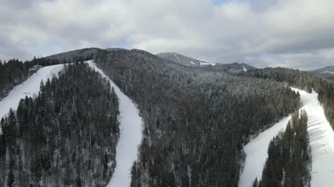 Winter Pine Forest, Drone Aerial Stock Footage 148440880