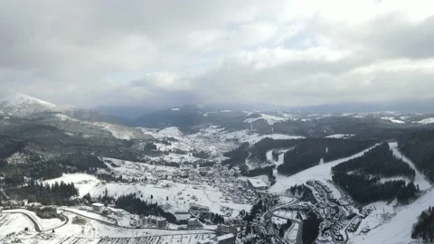 Winter Pine Forest, Drone Aerial Stock Footage 148440956