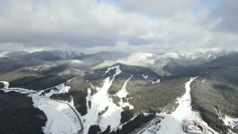 Winter Pine Forest, Drone Aerial Stock Footage 148441182