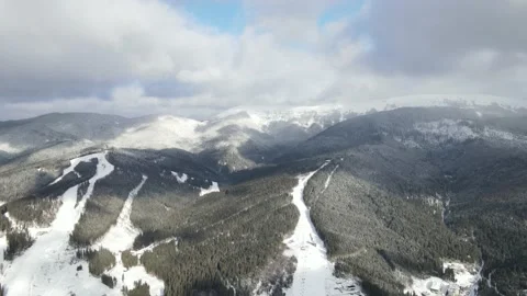 Winter Pine Forest, Drone Aerial Stock Footage 148441222