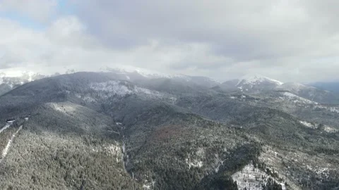 Winter Pine Forest, Drone Aerial Stock Footage 148441273