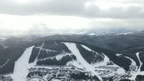 Winter Pine Forest, Drone Aerial Stock Footage 148441325