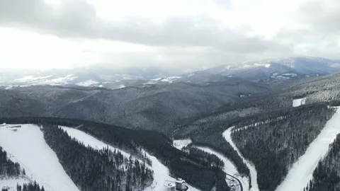 Winter Pine Forest, Drone Aerial Stock Footage 148441464