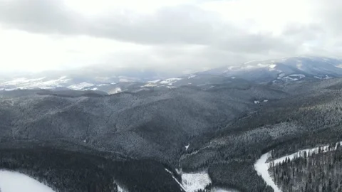 Winter Pine Forest, Drone Aerial Stock Footage 148441513