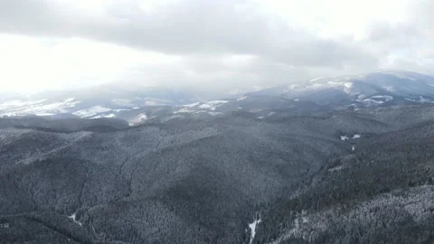 Winter Pine Forest, Drone Aerial Stock Footage 148441536