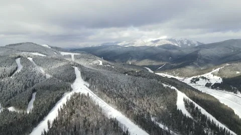 Winter Pine Forest, Drone Aerial Stock Footage 148441552