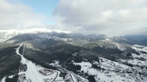 Winter Pine Forest, Drone Aerial Stock Footage 148441566