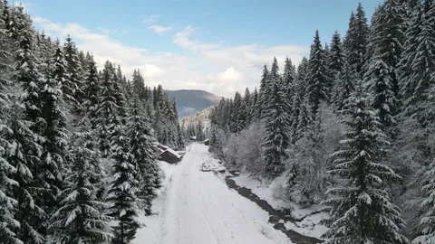 Winter pine forest flight. Drone flies over the road in a snow winter forest 4k Stock Footage 220619642