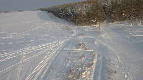 Winter pine forest in the snow with traces of ski tracks Stock Footage 101632098